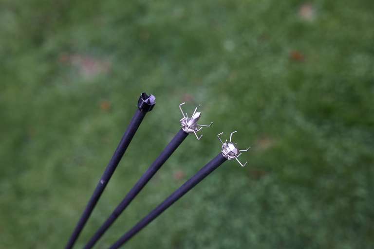 Three types of small game hunting arrow tips. 