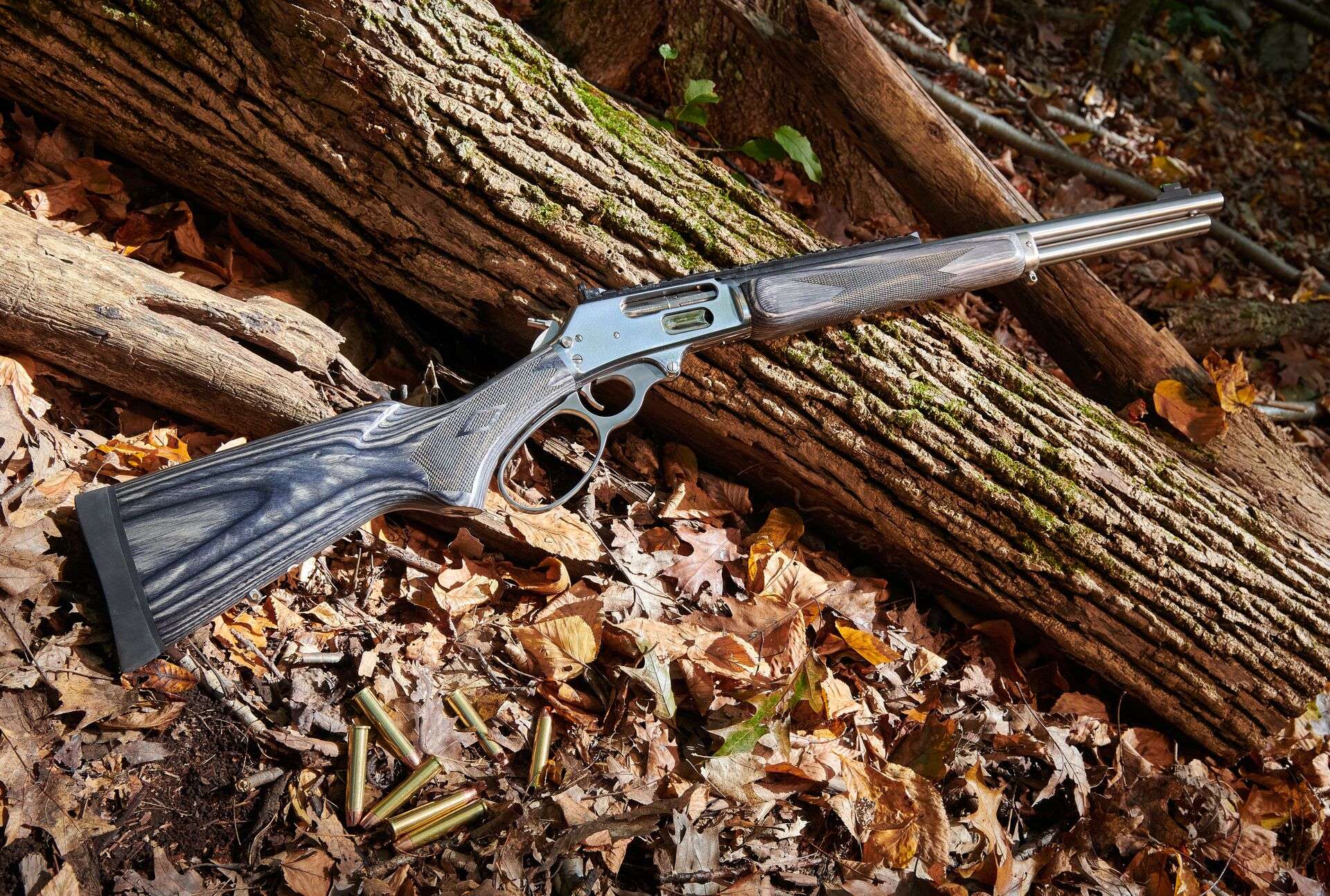 How can i learn to hunt ilearntohunt