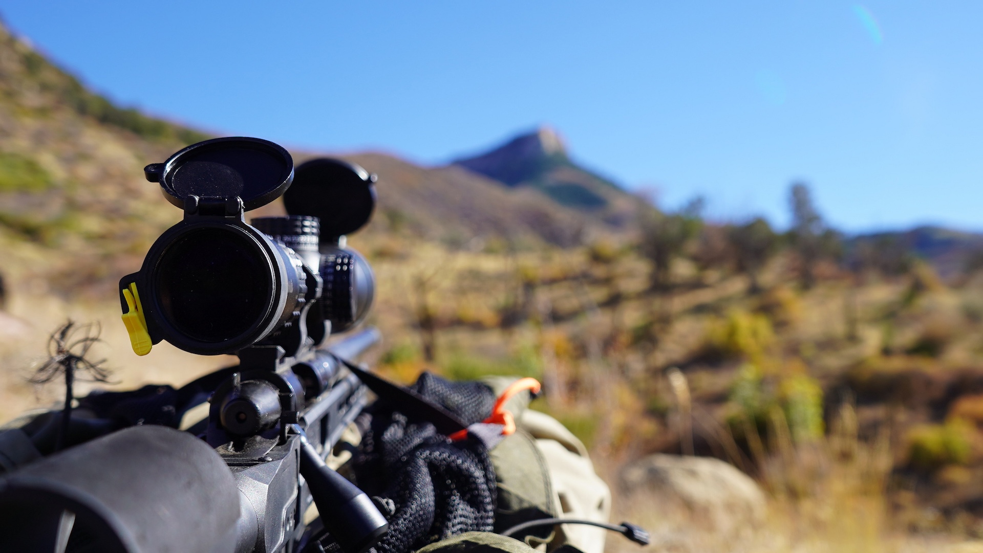Looking down range from a rifle, long range hunting concept.