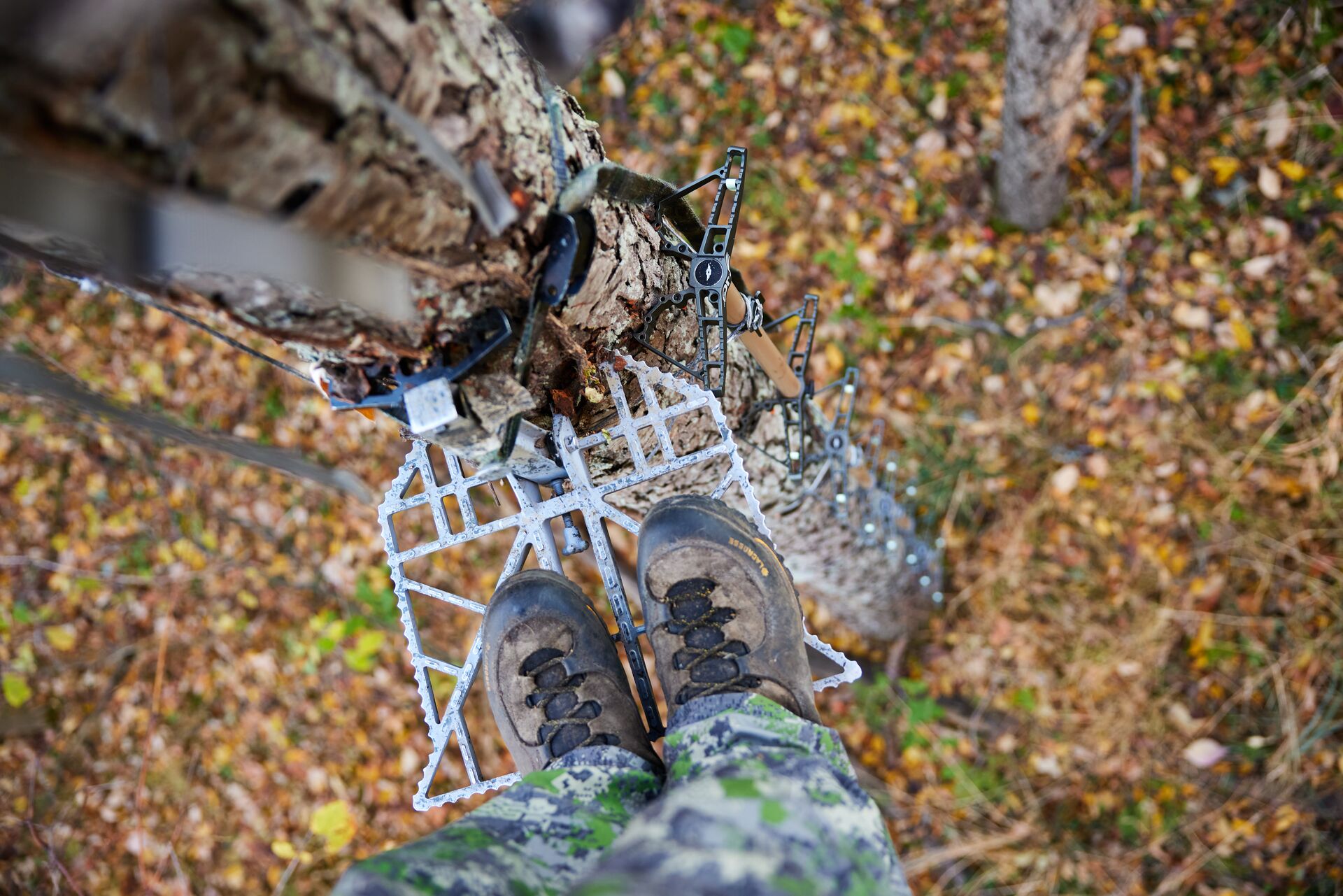 View of looking down from a tree stand during a hunt.