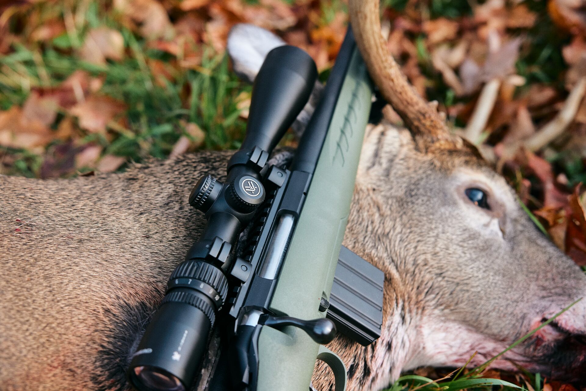Rifle lays on deer on the ground after hunt.