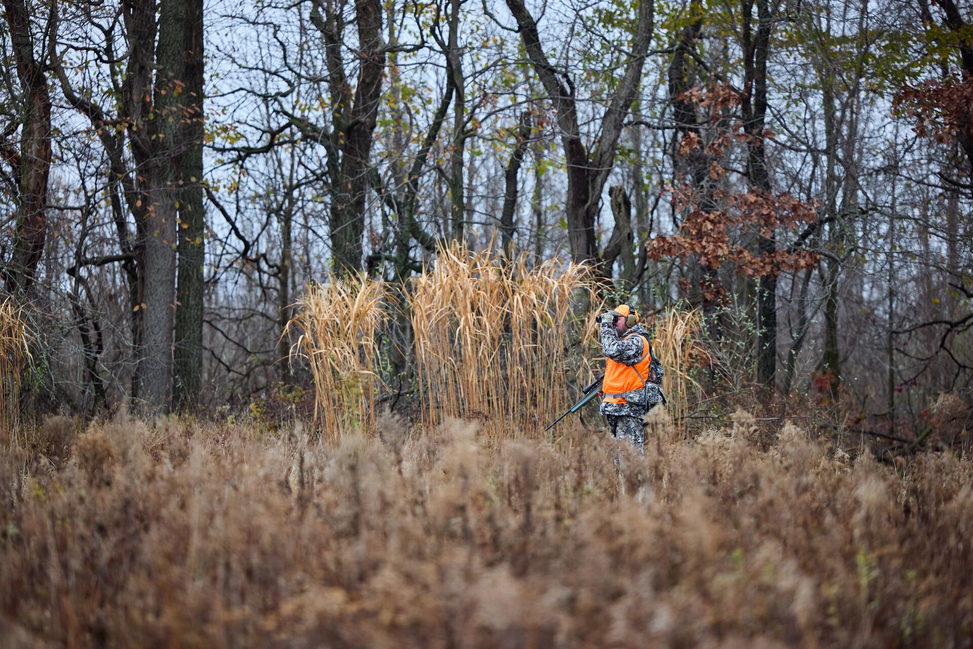 Hunter using binoculars wearing blaze orange and camo.
