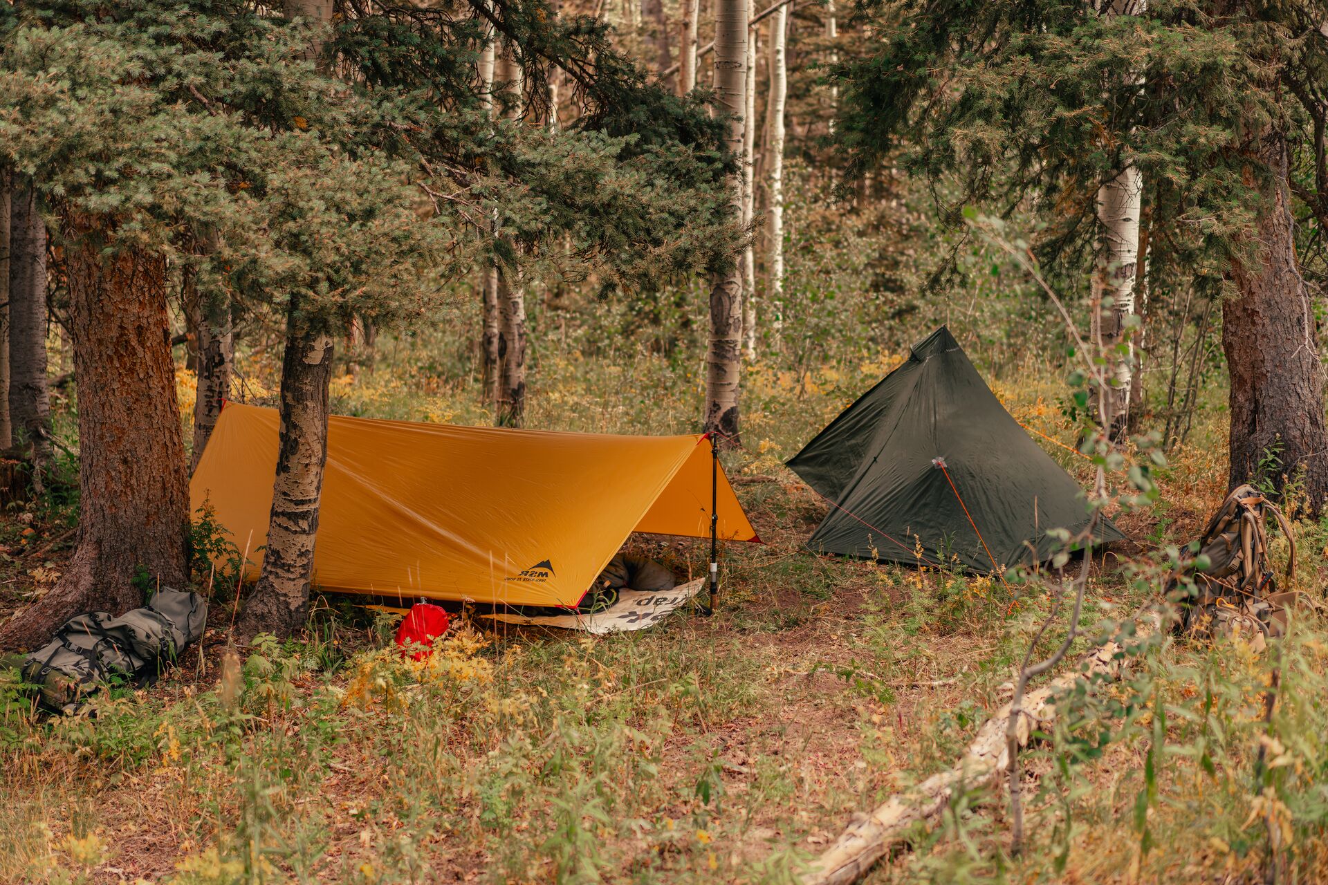 Tents in the woods, outdoor survival while hunting. 
