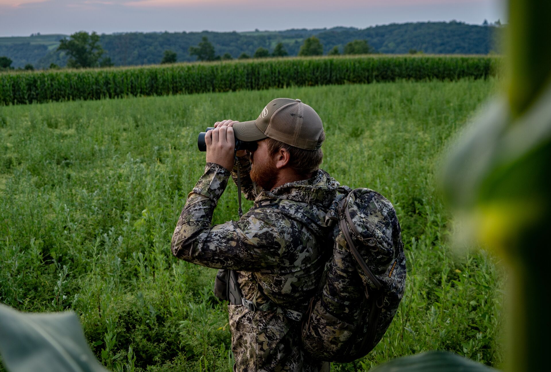 Hunter in camo using binoculars in a field. 