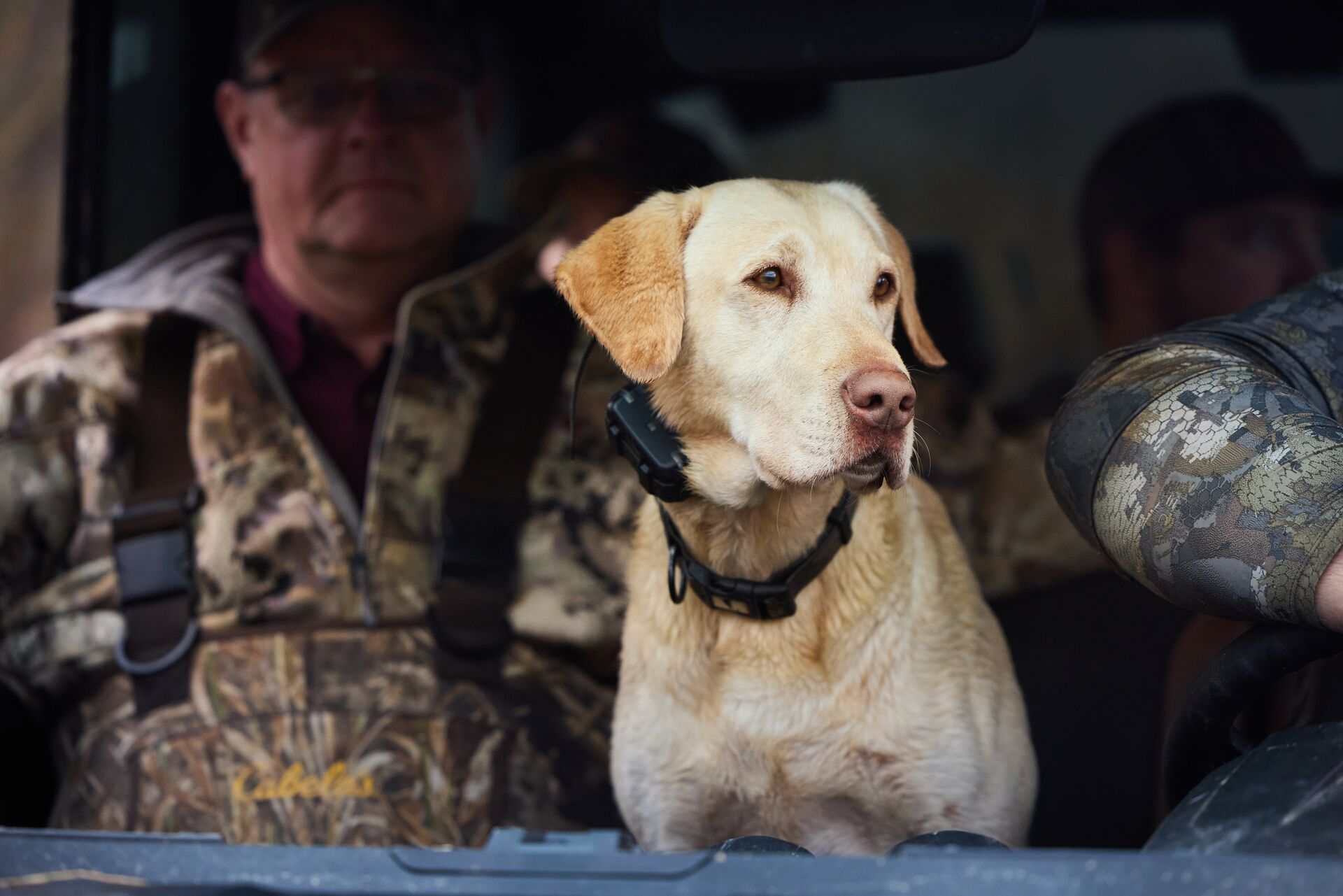 Dog in an ATV with hunters. 