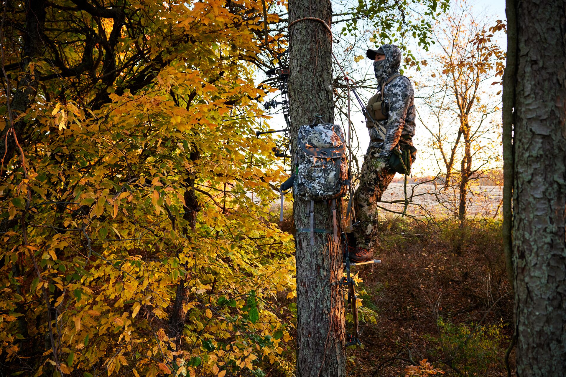 Hunter with gear high in a tree stand, first time hunting in a tree stand concept.