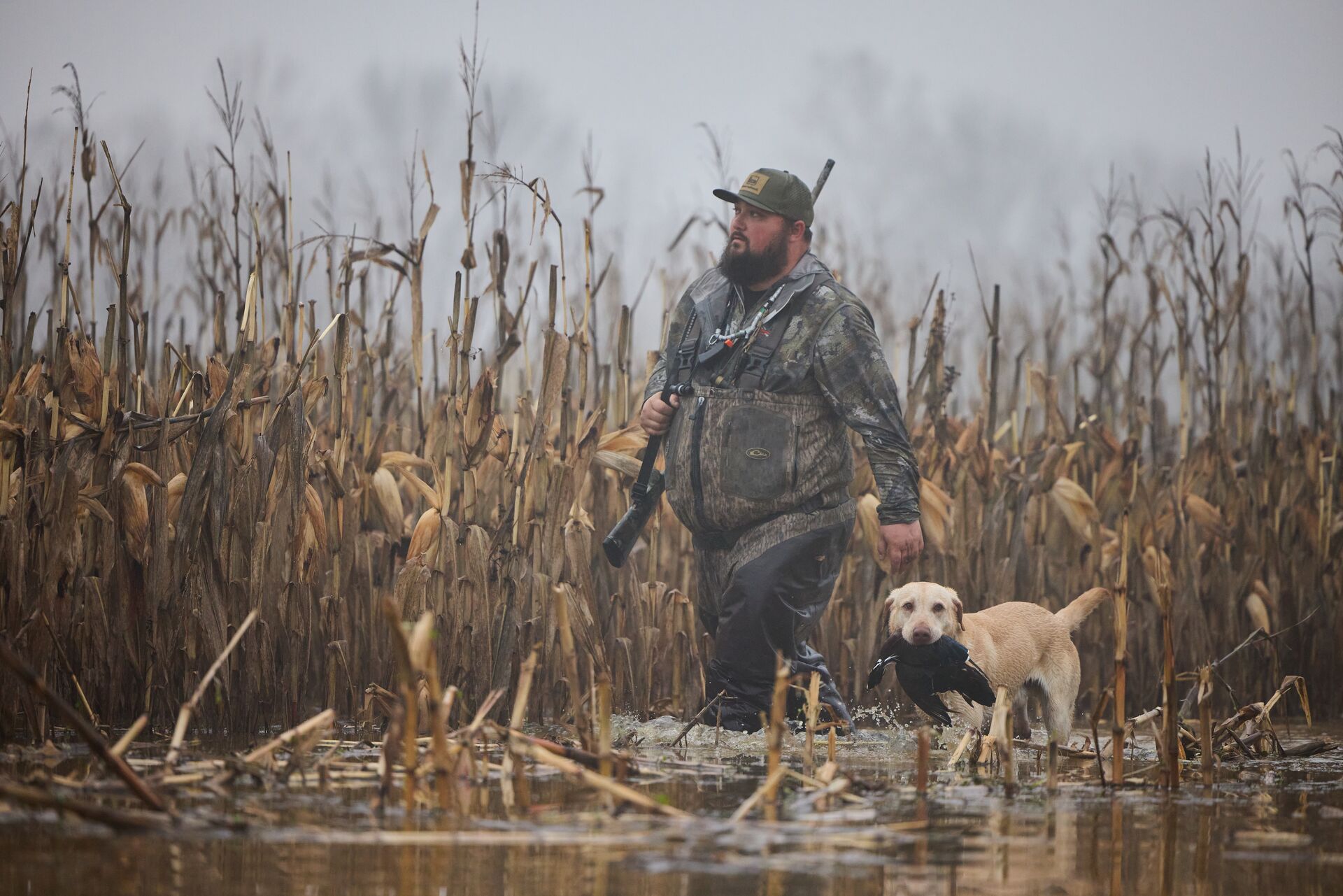 Hunter with a dog in the water retrieving duck, how do I get into hunting concept.