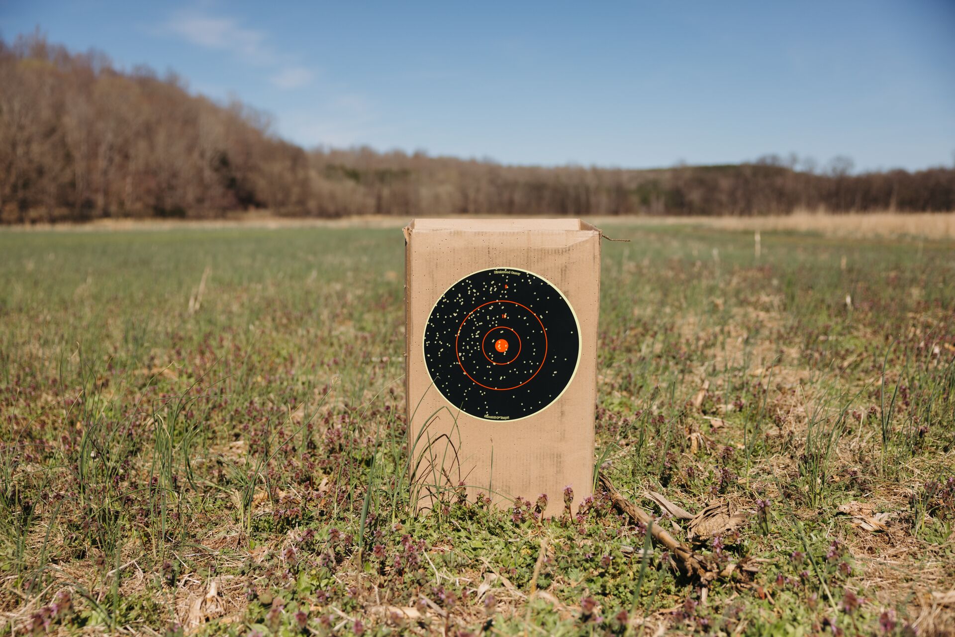 Target in a field for patterning a shotgun. 