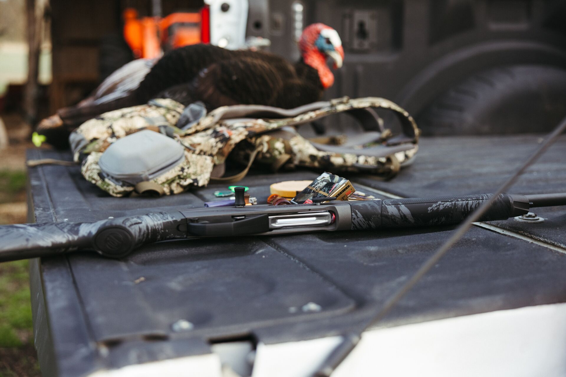 Shotgun and turkey hunting gear in bed of truck, first time hunting concept.
