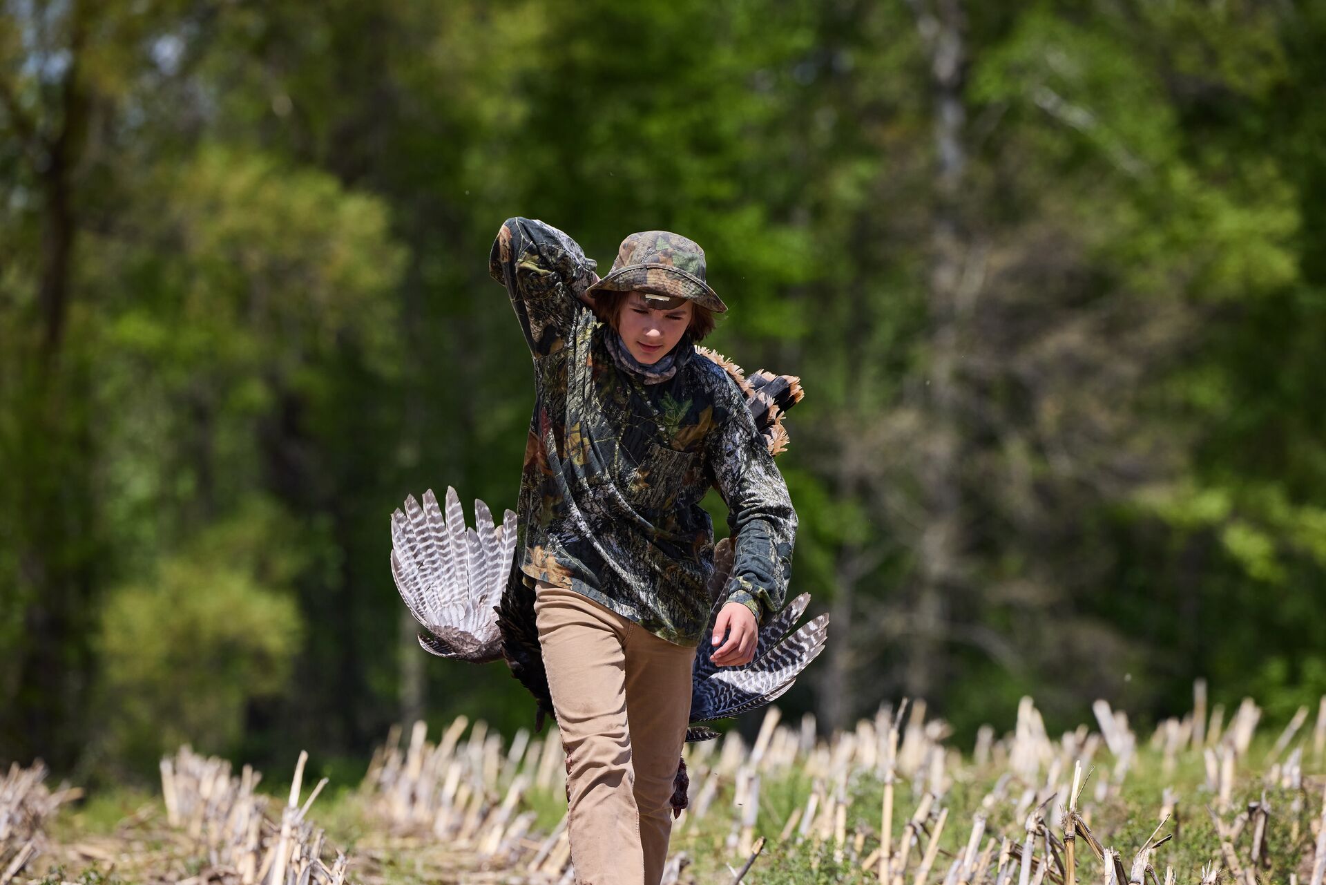 Boy carries turkey after hunt.