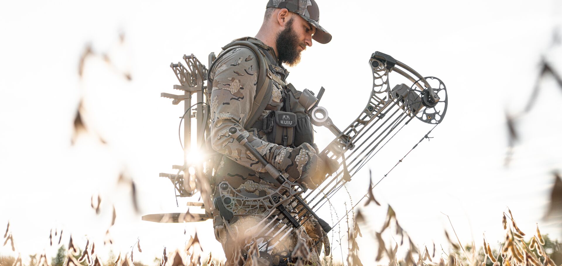 Hunter with a bow, using a bow for elk hunting concept. 