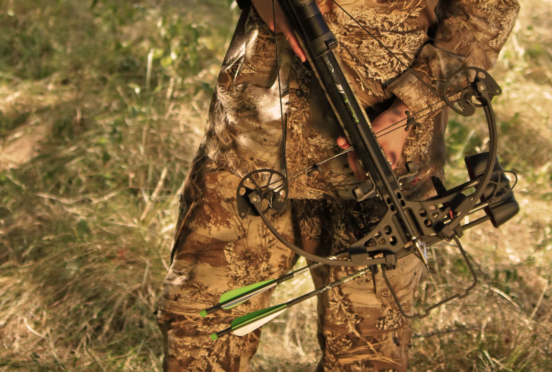 Close-up of a hunter with a crossbow, bow for elk hunting concept. 