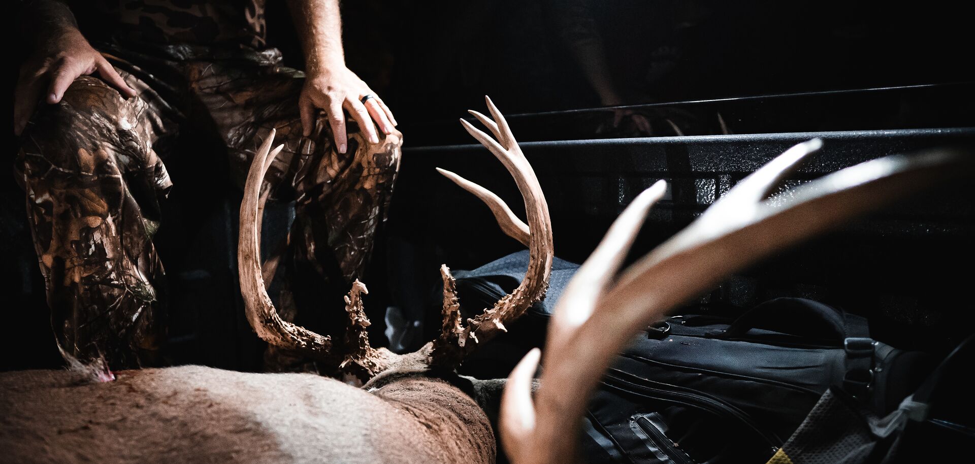 Hunter with deer in back of truck after hunt. 