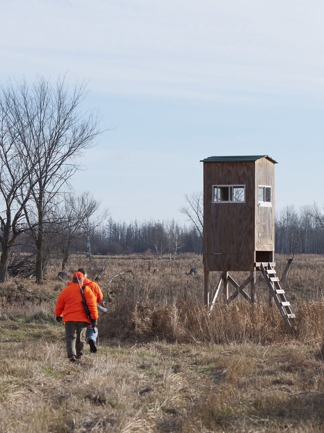 Two hunters in blaze orange walk to hunting blind, concept of deer hunting beginner tips.