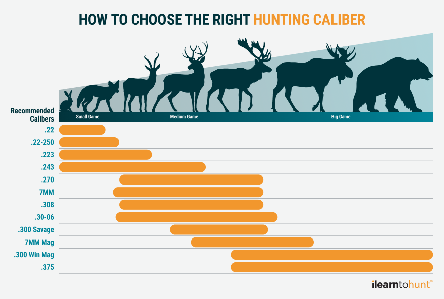 Infographic showing different types of calibers for various game animals for hunting.