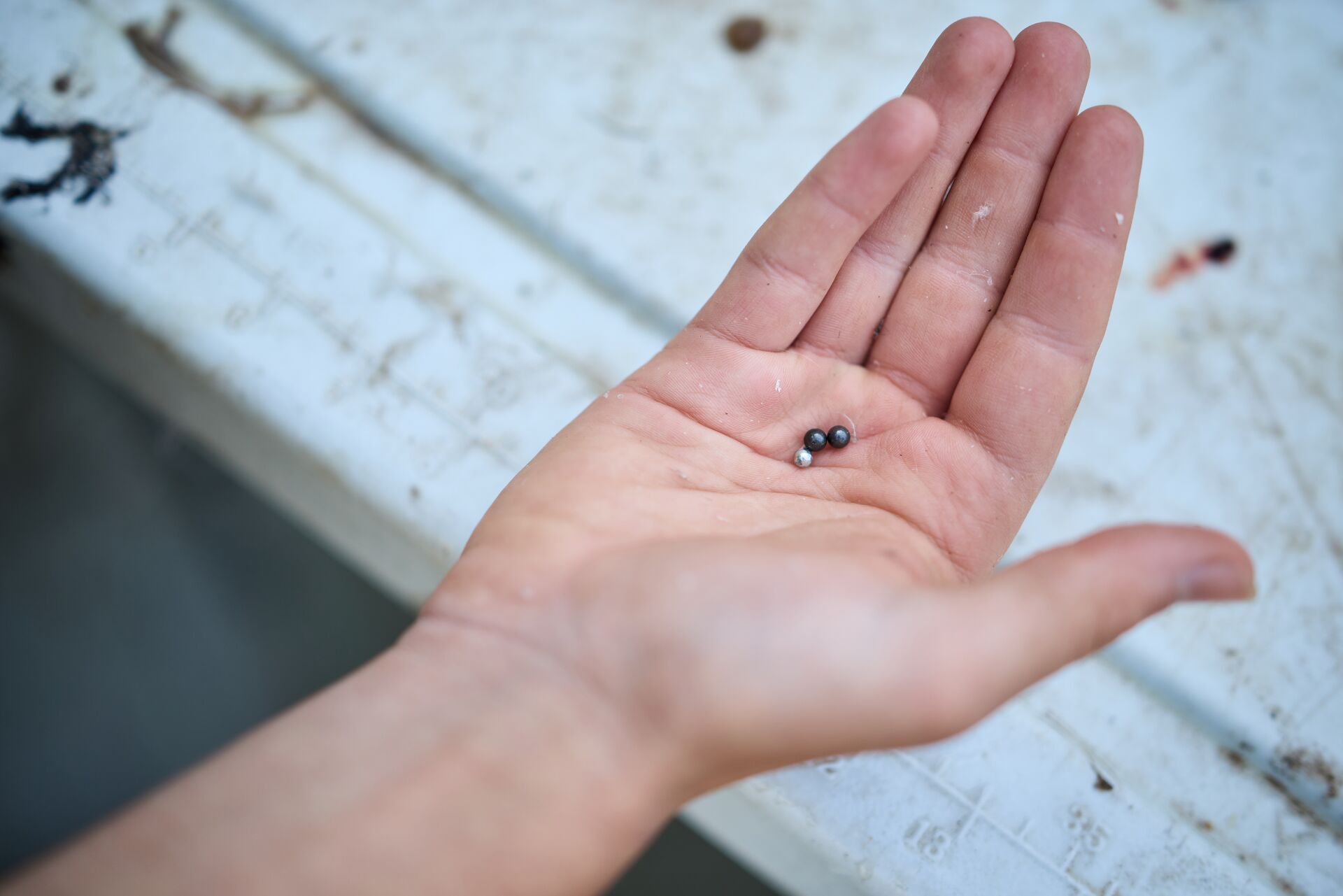 Shotgun pellets in someone's hand. 