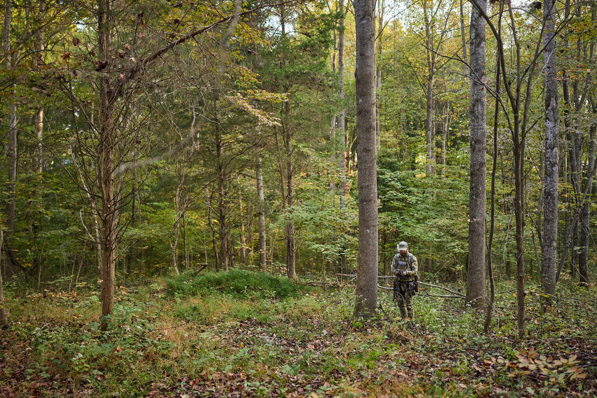 Hunter walks through woods, scouting for hunting concept. 