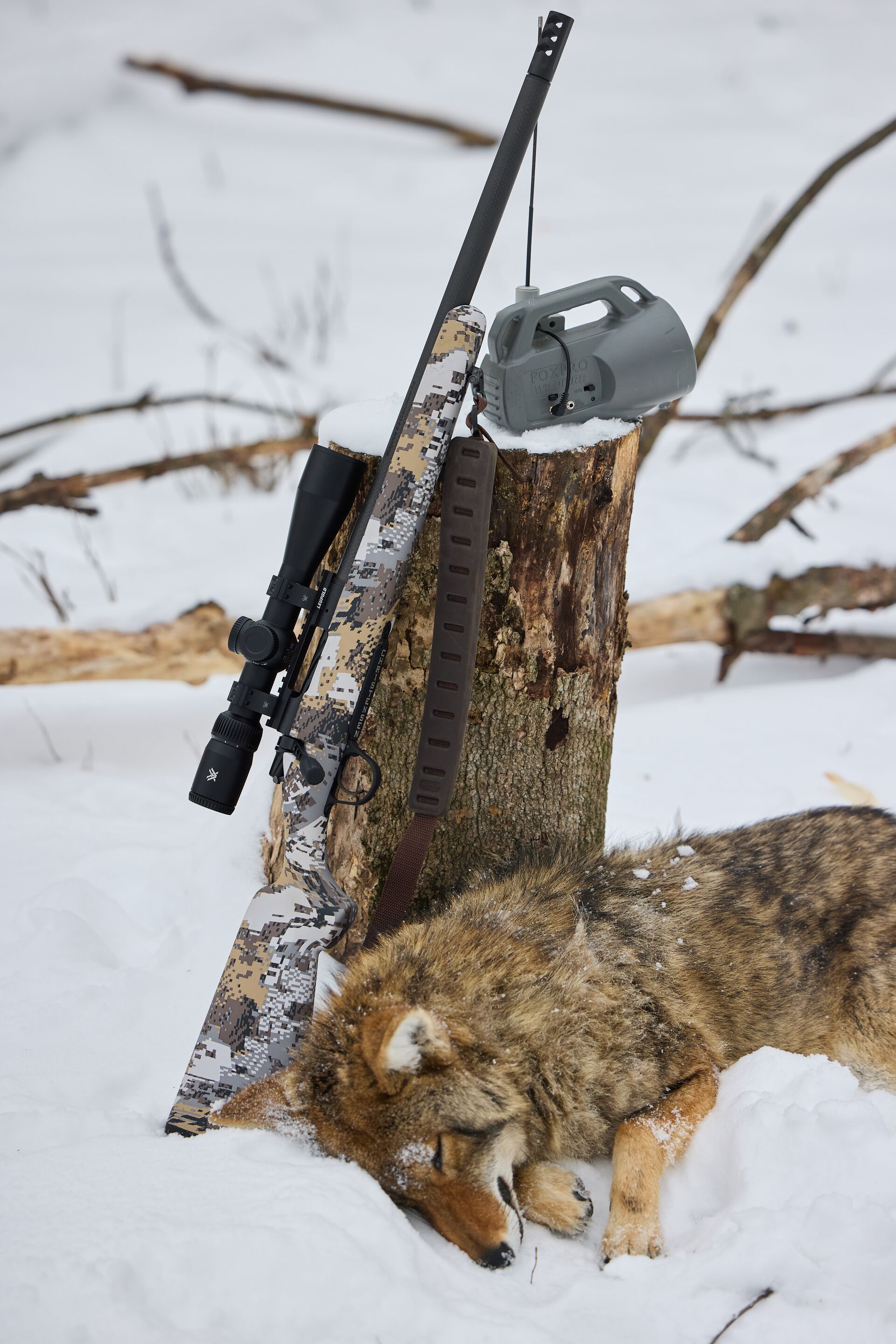 Rifle and coyote call on stump with nearby coyote after hunt, essential hunting gear concept.