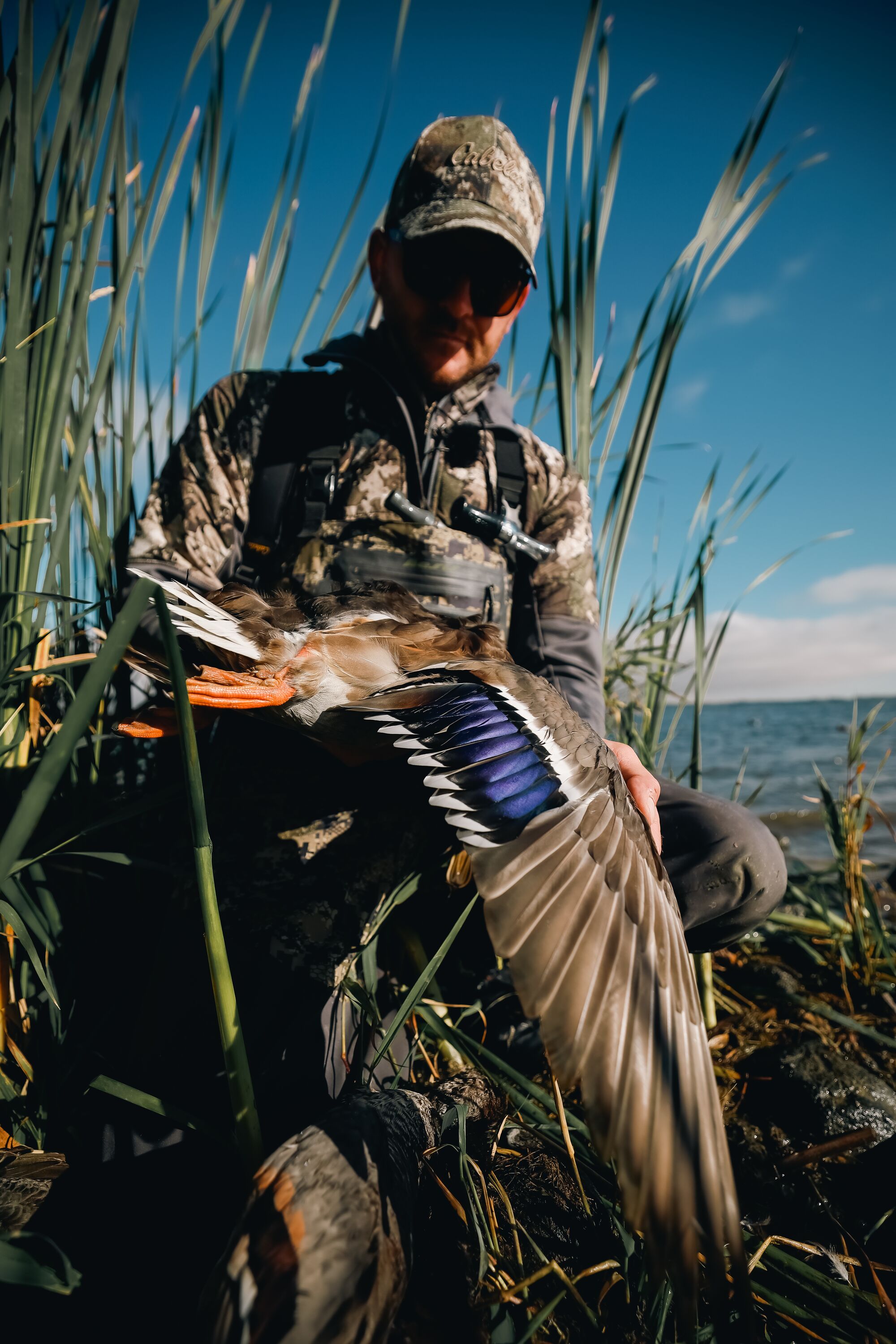 Hunter shows off duck wing after hunt.