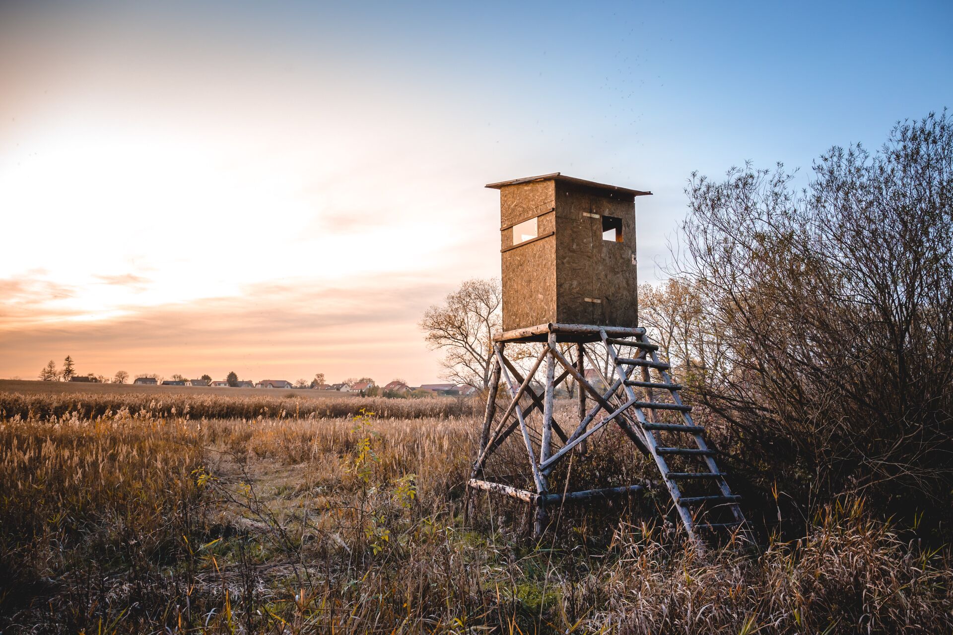Hunting blind with ladder in field, do it yourself hunting blinds concept.