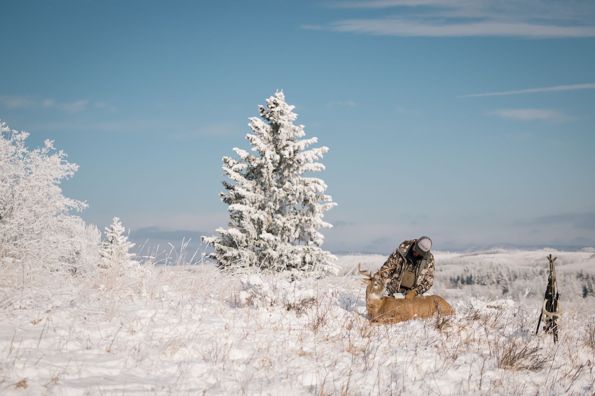 Hunter with buck down in the snow, know the hunting weather concept. 