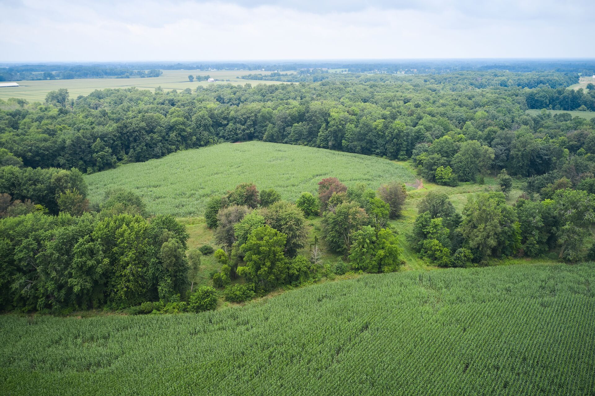 Overhead view of hunting land, carrying capacity science concept. 